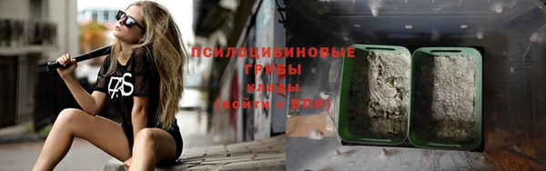 Альфа ПВП Пересвет