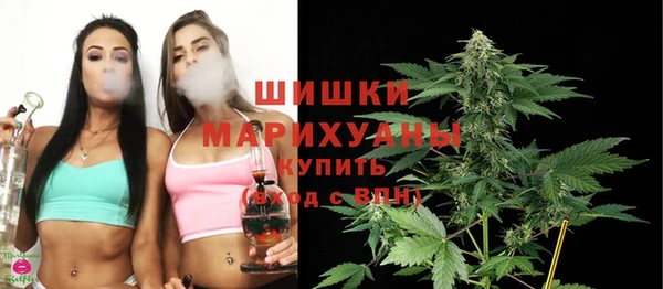 Альфа ПВП Пересвет
